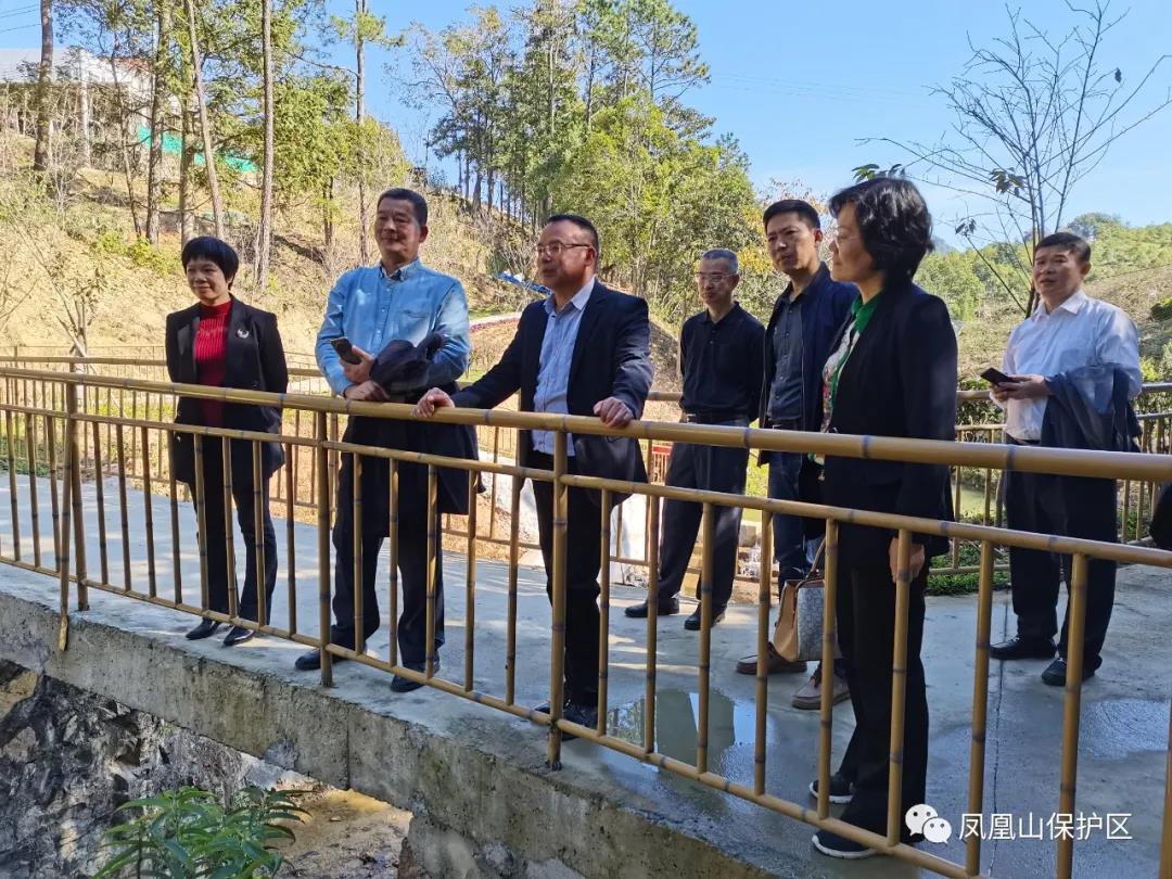 省林業(yè)局調研組到鳳凰山保護區(qū)調研